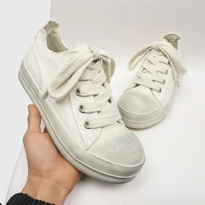 2025New hommes toile fond épais baskets mode à lacets décontracté jeunesse chaussures léger en plein air confortable plat concepteur chaussure de marche