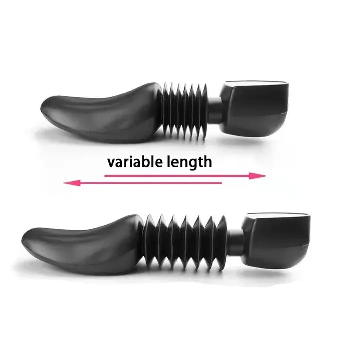 1 paire d'arbres à chaussures évolutifs