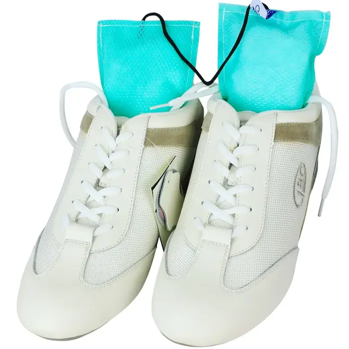 1 Paire de Pâtes Désodorisantes pour Chaussures