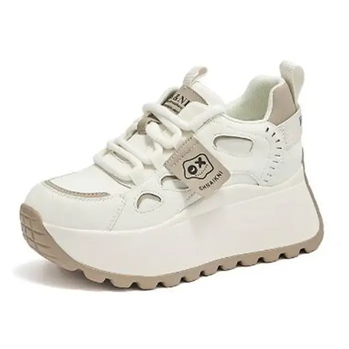 Nouvelle mode femmes papa chaussures printemps 2025 fond épais