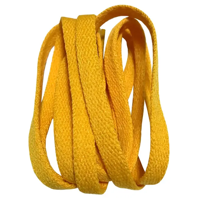 1 paire de lacets plats pour bottes longs
