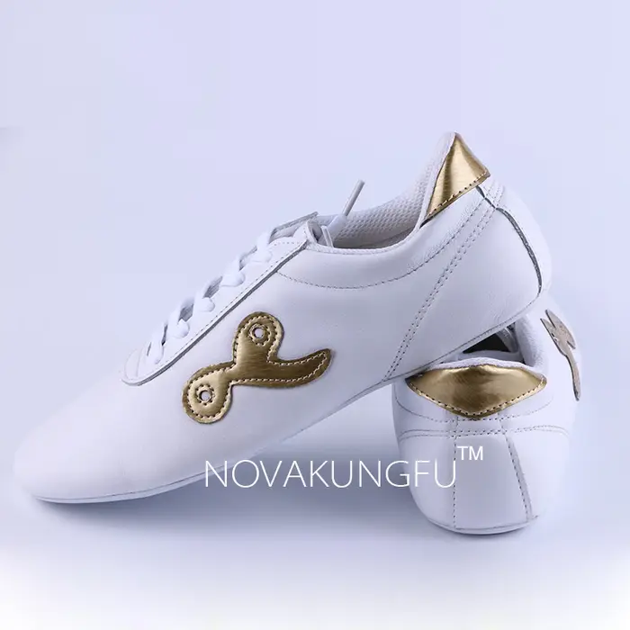 Chaussures d'arts martiaux pour enfants, chaussures Tai Chi pour hommes et femmes, chaussures d'entr
