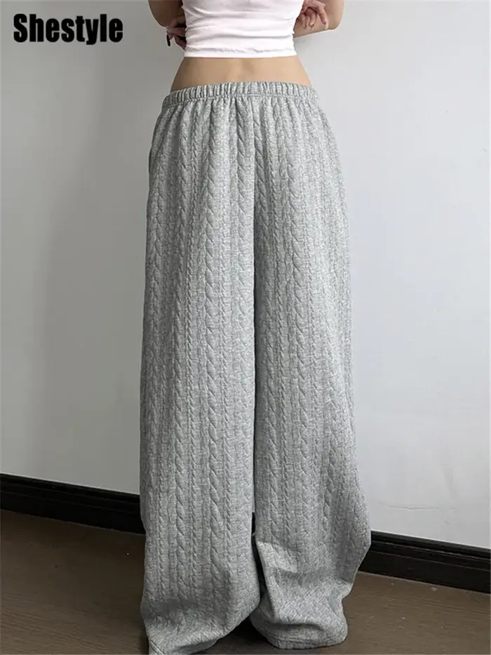 Shestyle gris pantalons de survêtement automne pour les femmes Streetwear cordon Texture Staight décontracté ample minimaliste pantalon à jambes larges 2025